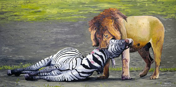 Lion Eating A Zebra