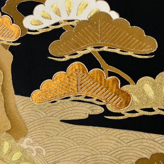 Pines through Seasons