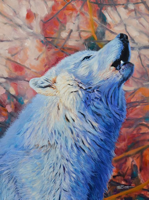 Arctos - Arctic Wolf by Jason Edward Doucette