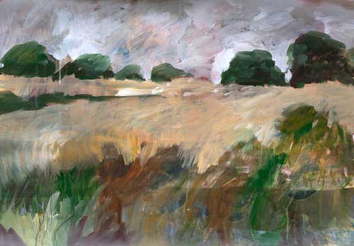 The Meadow Waits by Elizabeth Anne Fox