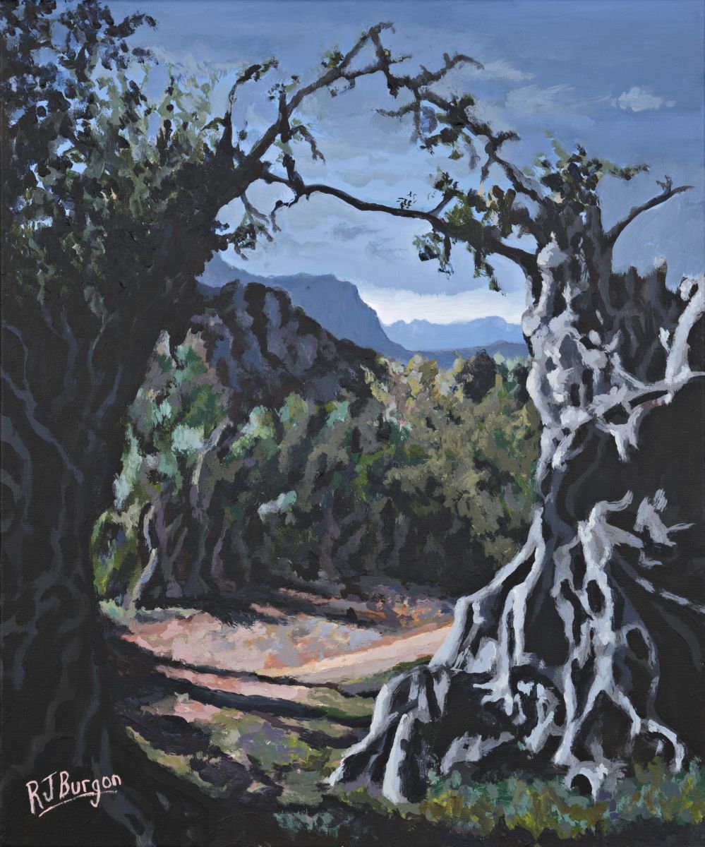 Through the Olive Grove by R J Burgon