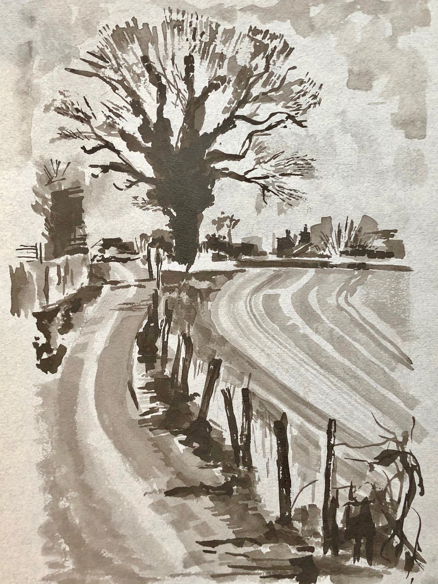 The English Oak, Sussex by Annie Meier