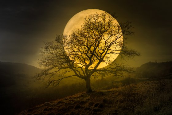 HARVEST MOON II...Ready to hang, limited edition photograph made in California