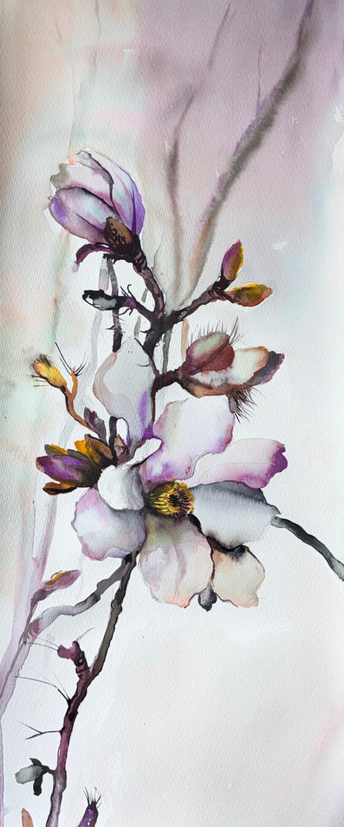 Luminous Magnolia by Maria Kireev