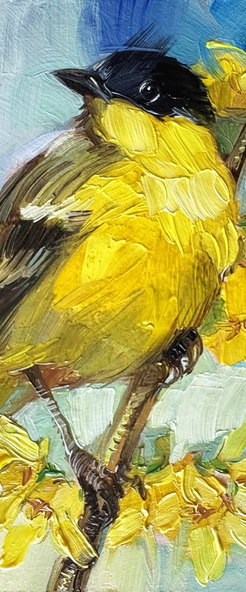 Yellow warbler by Nataly Derevyanko