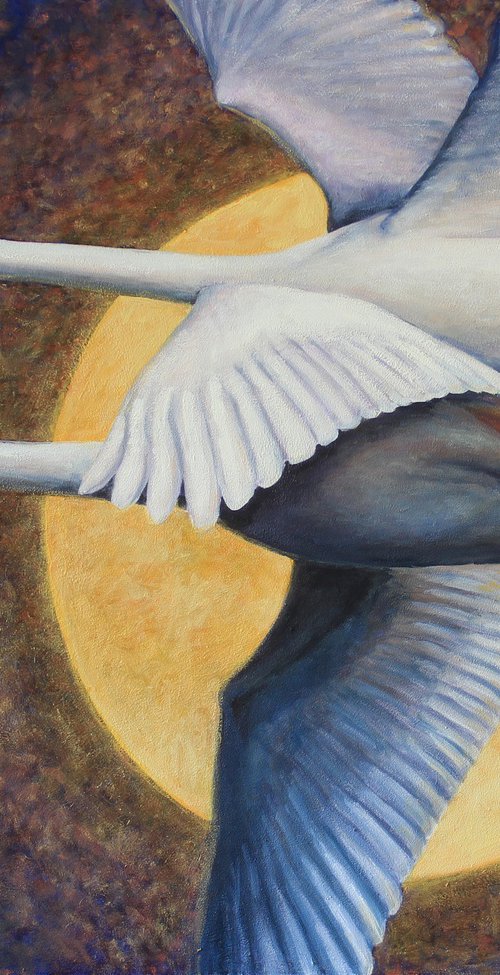 Swans in the Moonlight by Sandra Bryant