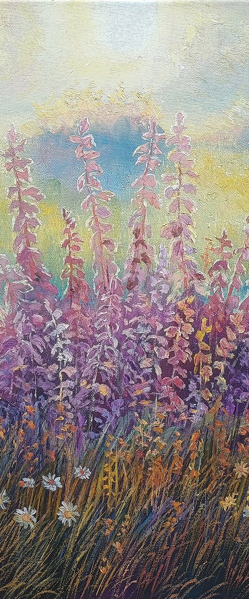 Dawn by Dalia Barke