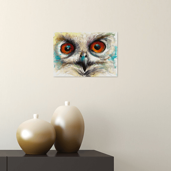 OWL Eyes