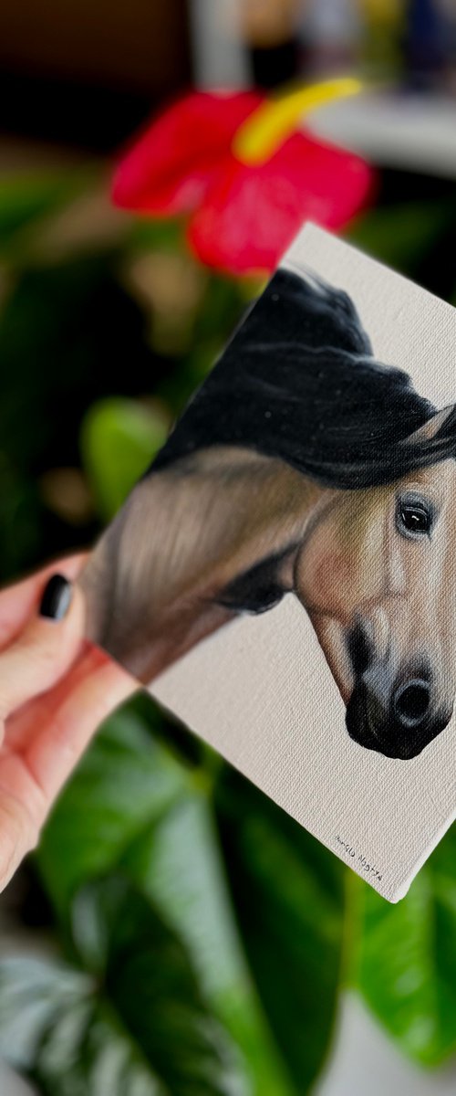 Horse Portrait 16 by Anastasia Parfilo