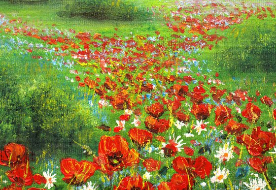 Red poppies and wildflowers