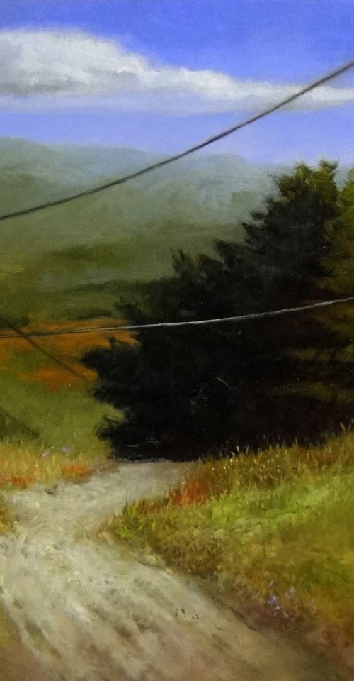 Telegraph Road by Rick Paller
