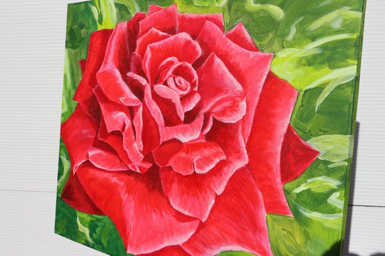 Red rose - the emblem of love, 60*50