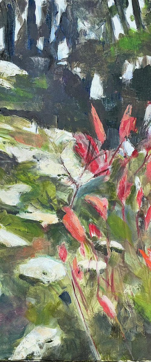 Elder & Photinia by Sandra Haney