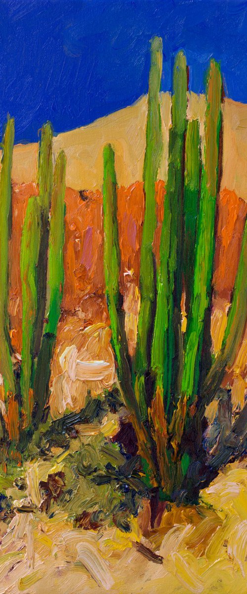 Bright Summer Day. Cactuses in the Desert. by Suren Nersisyan