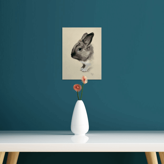 Portrait of a cute rabbit