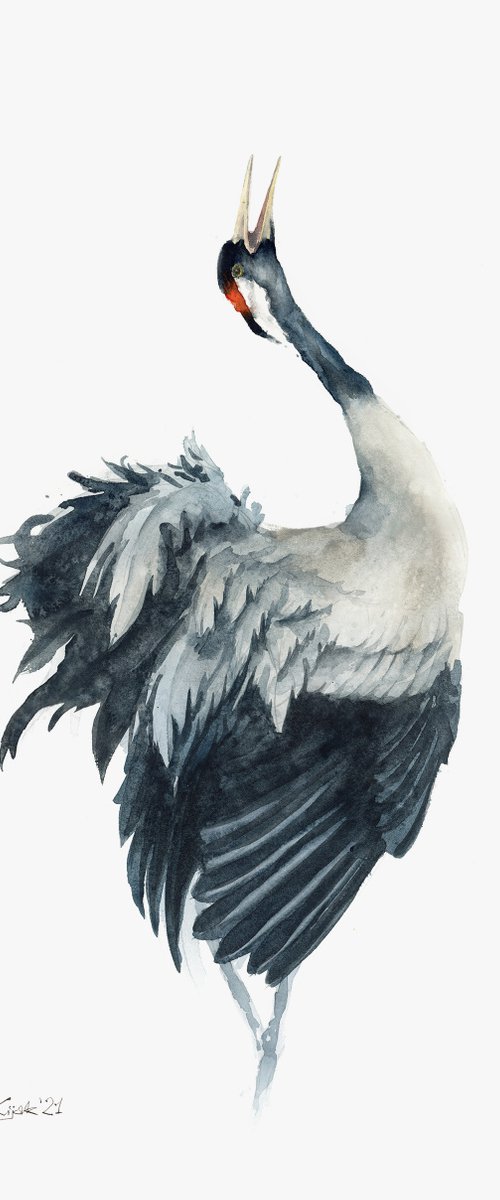 Common Crane in watercolor by Karolina Kijak