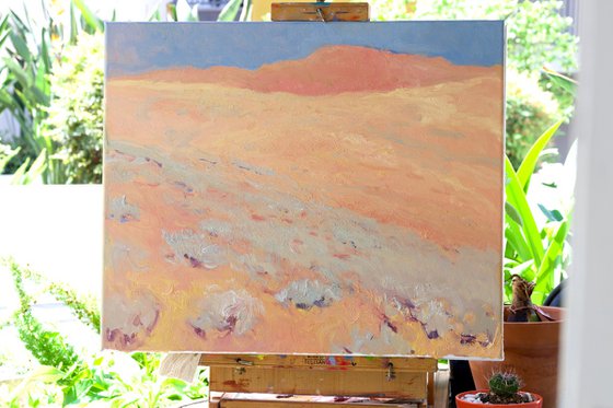 Desert Haze