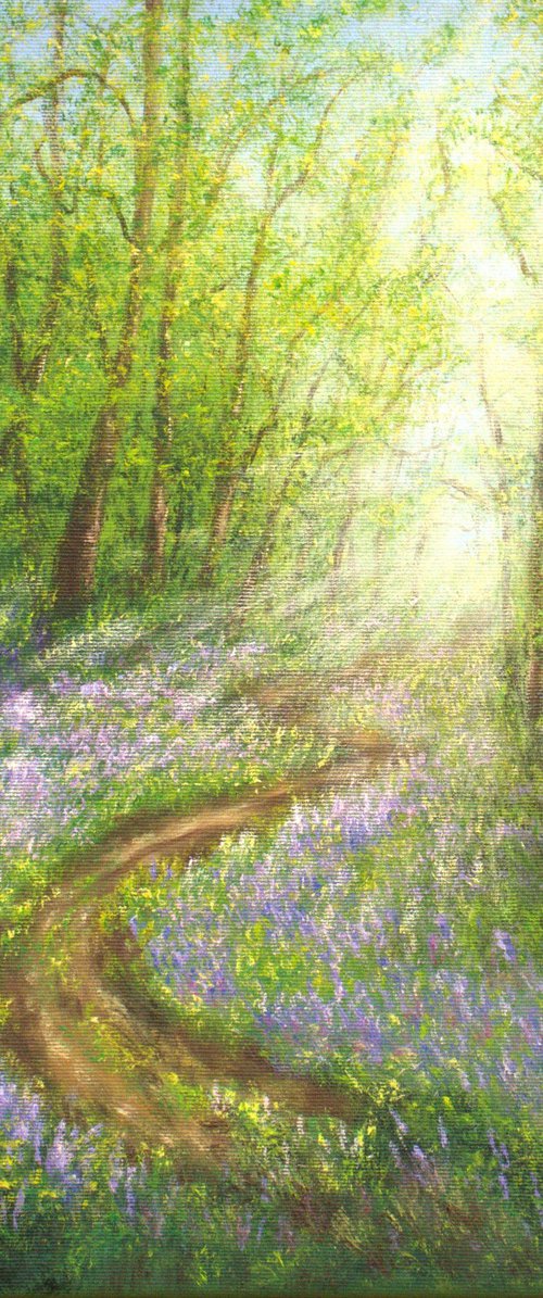 Bluebell forest by Ludmilla Ukrow