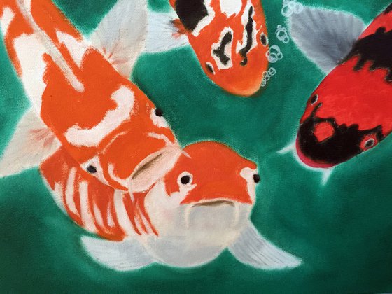 KOI AWAITING FOOD