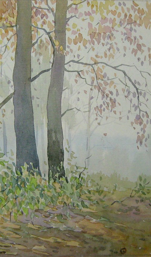 Foggy forest by Valeriy Savenets-1