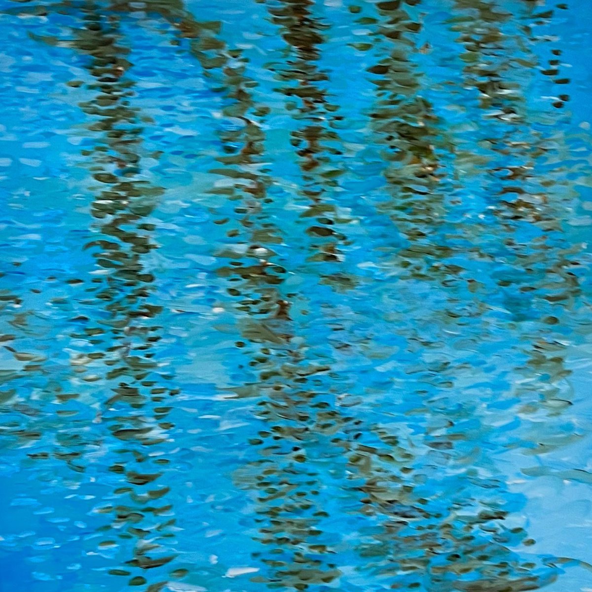  Reflections 2 By Shabs Beigh, 12 X 12, Artwork For Sale On Artfinder