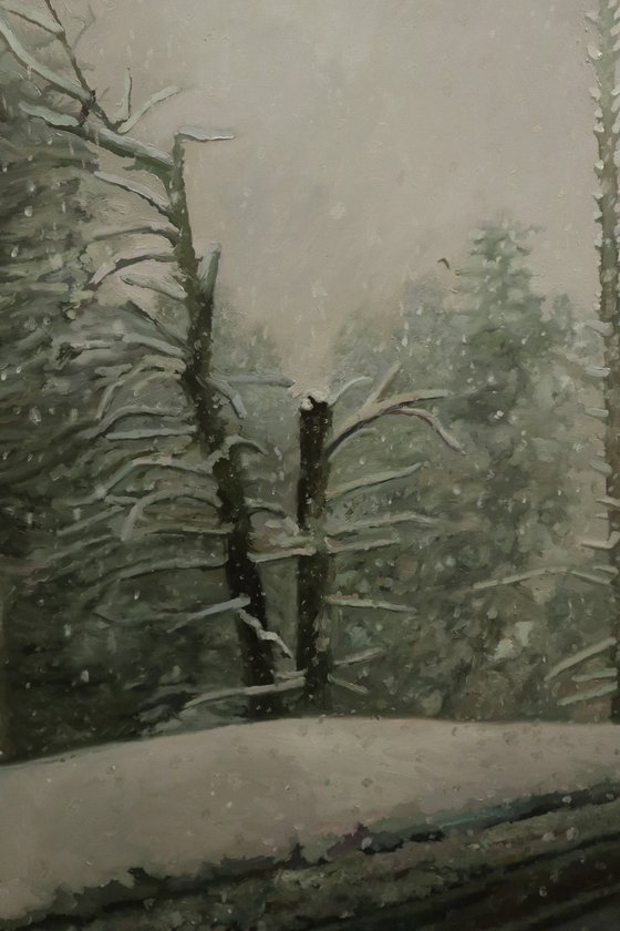 " Tempête de neige "