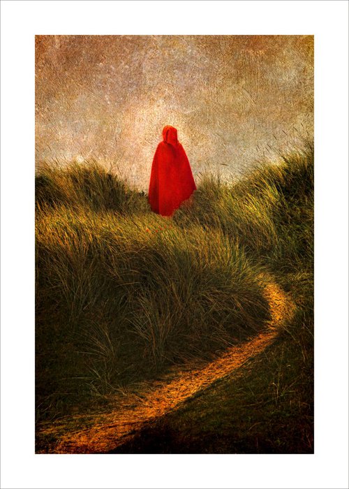 The Girl in the Red Cloak by Martin  Fry