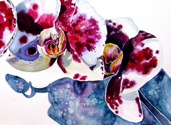 Orchid floral