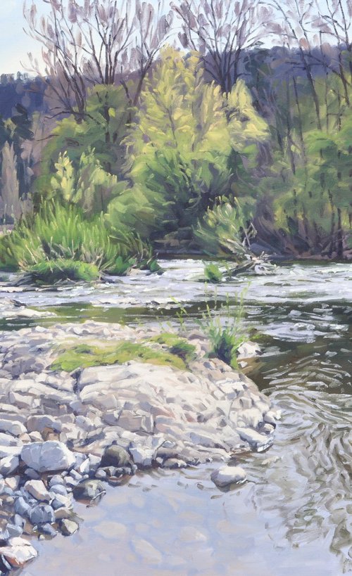 The Wild Loire In Spring by ANNE BAUDEQUIN