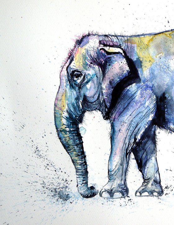 Elephant