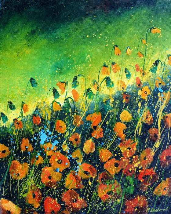 Poppies - 4523