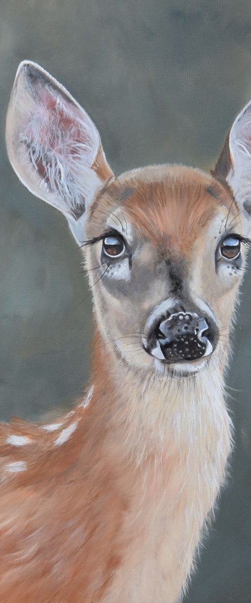 'Bouncer' by Nicola Colbran