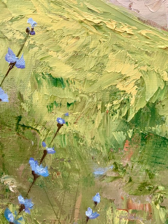 Blue Wildflowers on the Hillside