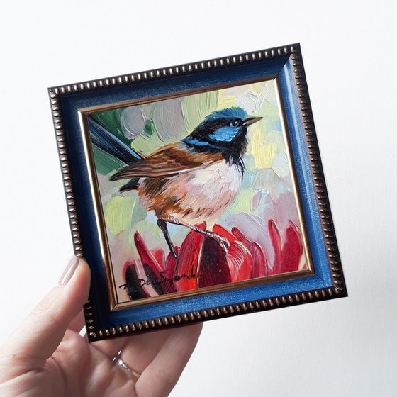 Fairywren bird painting