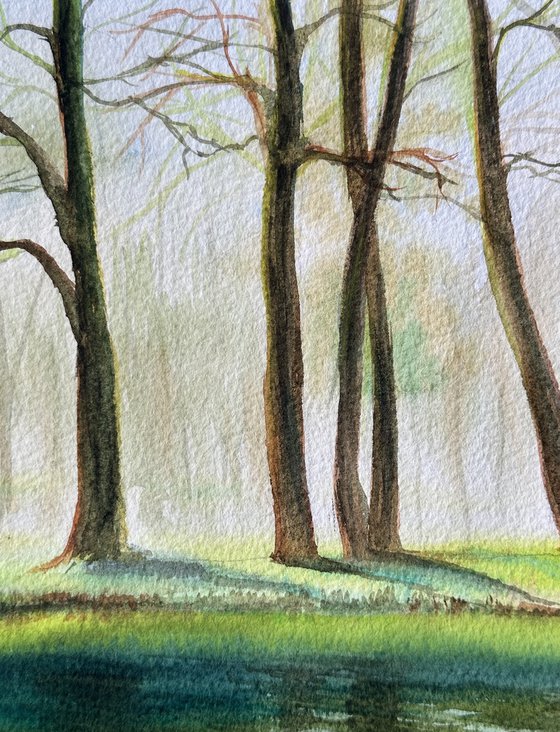 Green Reflections of Spring