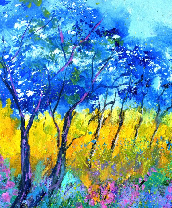Summer light in the wood