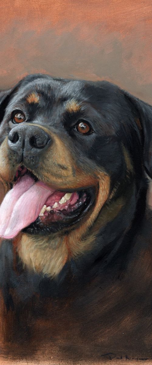 Rottweiler Portrait by Paul Moyse