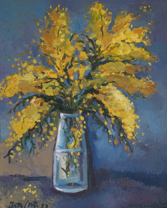 Mimosa flowers