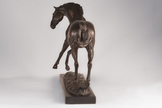 Playing Horse  Bronze Resin