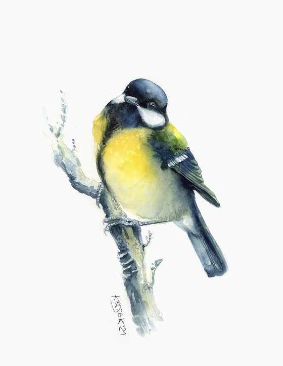 Great tit