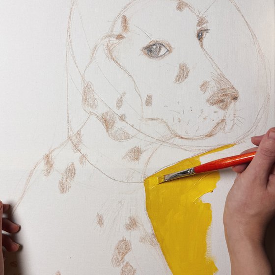 Dalmatian portrait