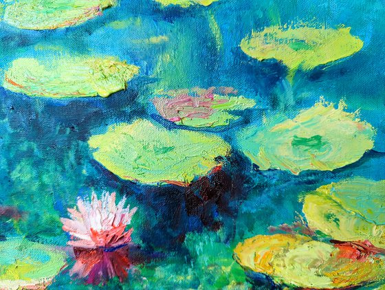 Water lilies on the river