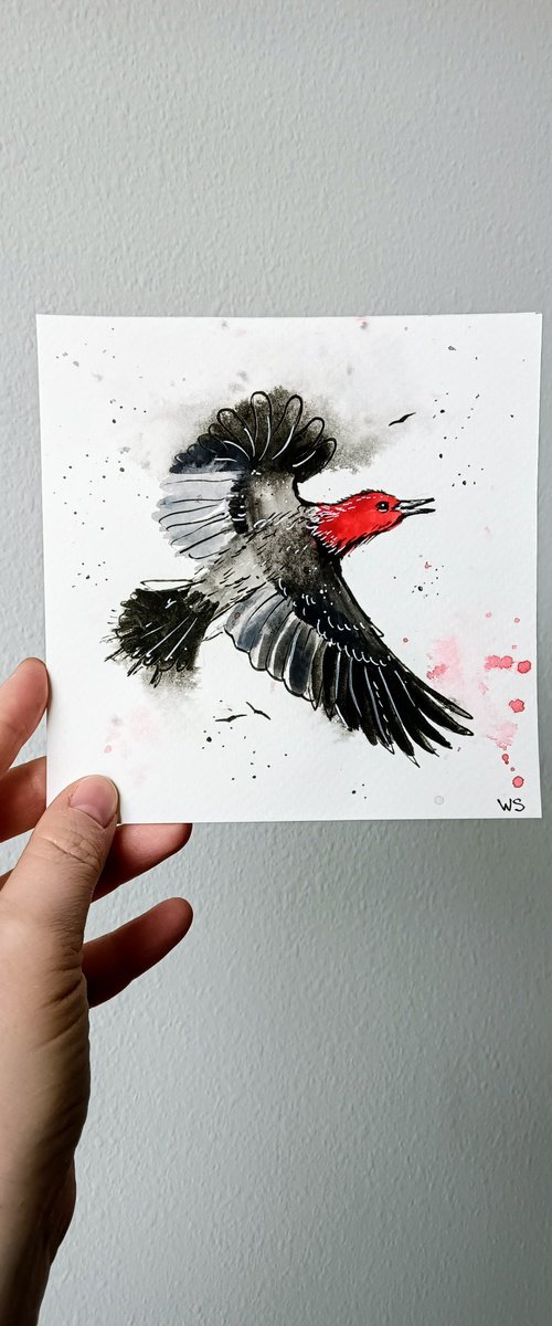 Red-headed woodpecker #1 by Svetlana Vitman