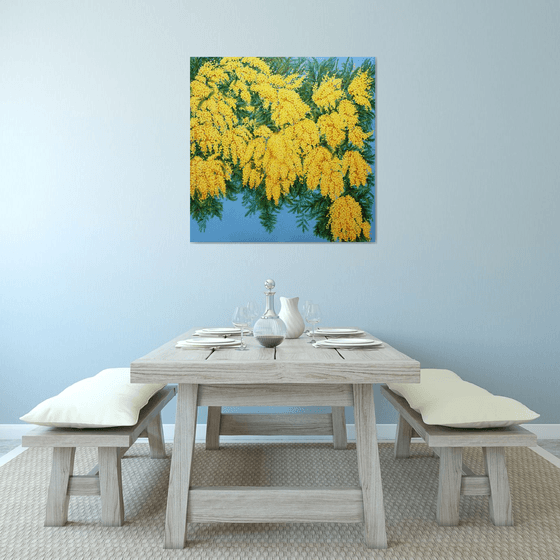 Mimosas in Bloom