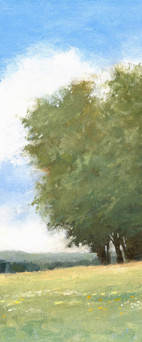 Afternoon Clouds 250615 by Don Bishop