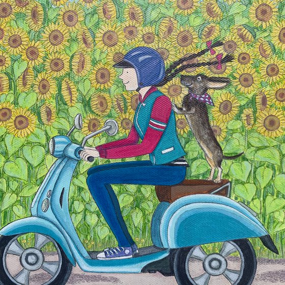 A ride through the sunflower fields with Monty