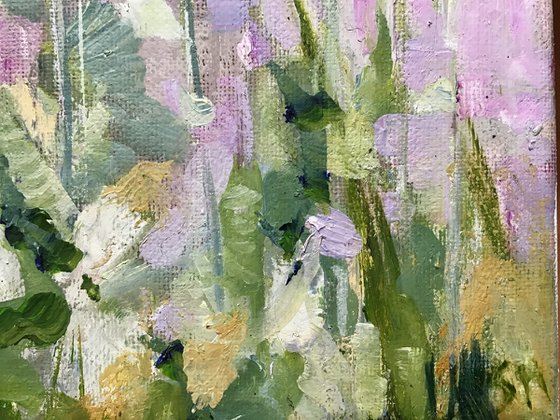 Poppy Heads