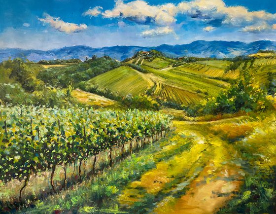 Vineyard At Montelloro, Tuscany