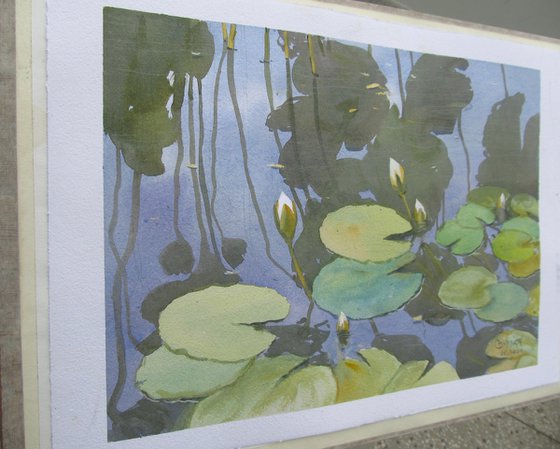 Lotus pond 2