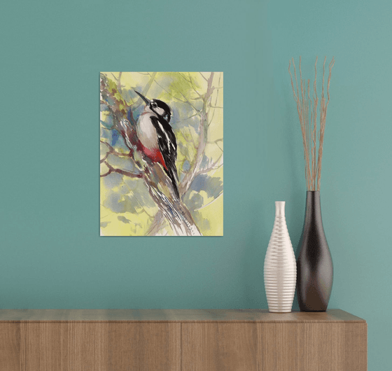 Dawny Woodpecker